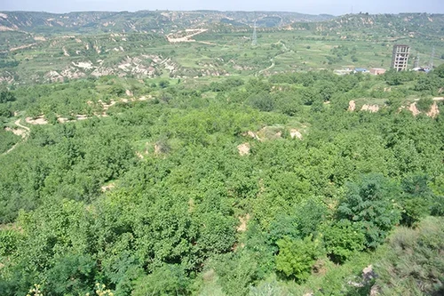 Смеси орехов по индивидуальному заказу